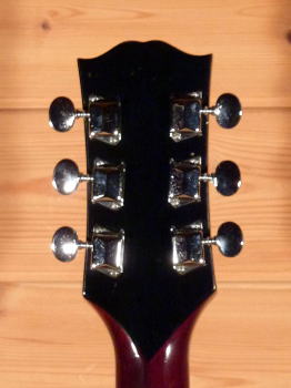 エレアコ仕様 　なにかと話題のTomson DOVEモデル(多分) エレアコ仕様 なにかと話題のTomson DOVEモデル(多分)